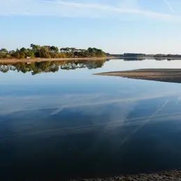 Histoire des paysages de Brenne
