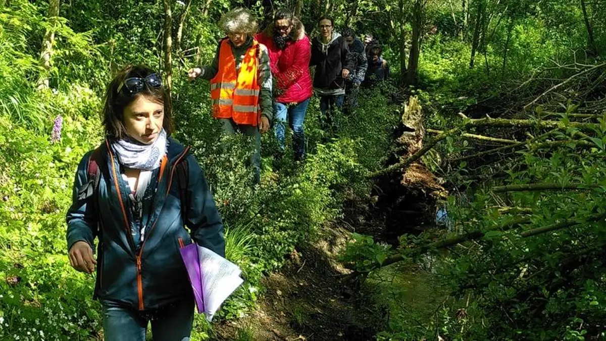 Histoire du bocage