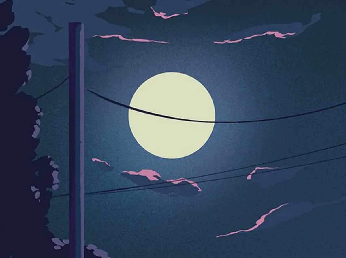 Histoires du soir, bonsoir par la Cie Elle murmure