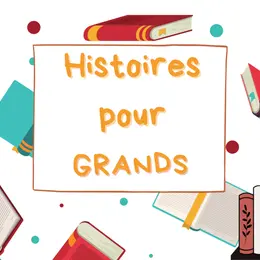 Histoires pour grands