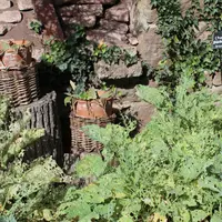 Au pied du château, un jardin médiéval &copy; Sandrine Bavard