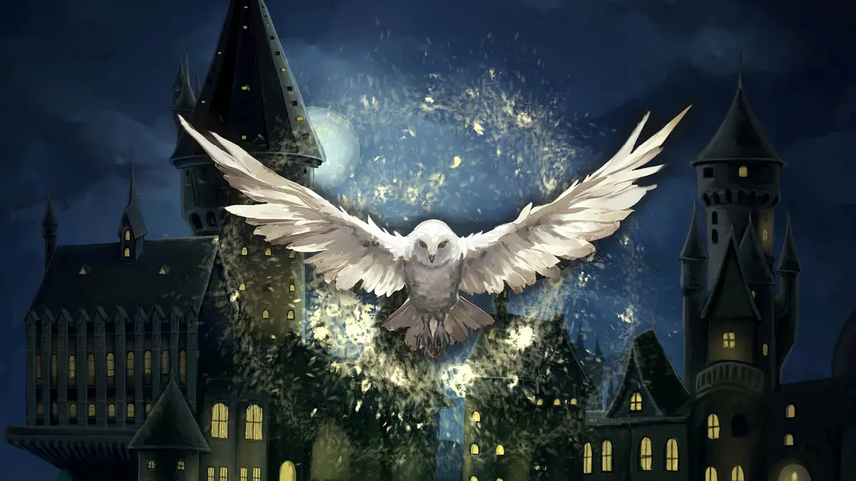 Hogwarts Magic Symphony