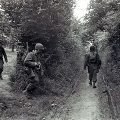 Hommage aux hommes de la 90ème Division d'Infanterie US