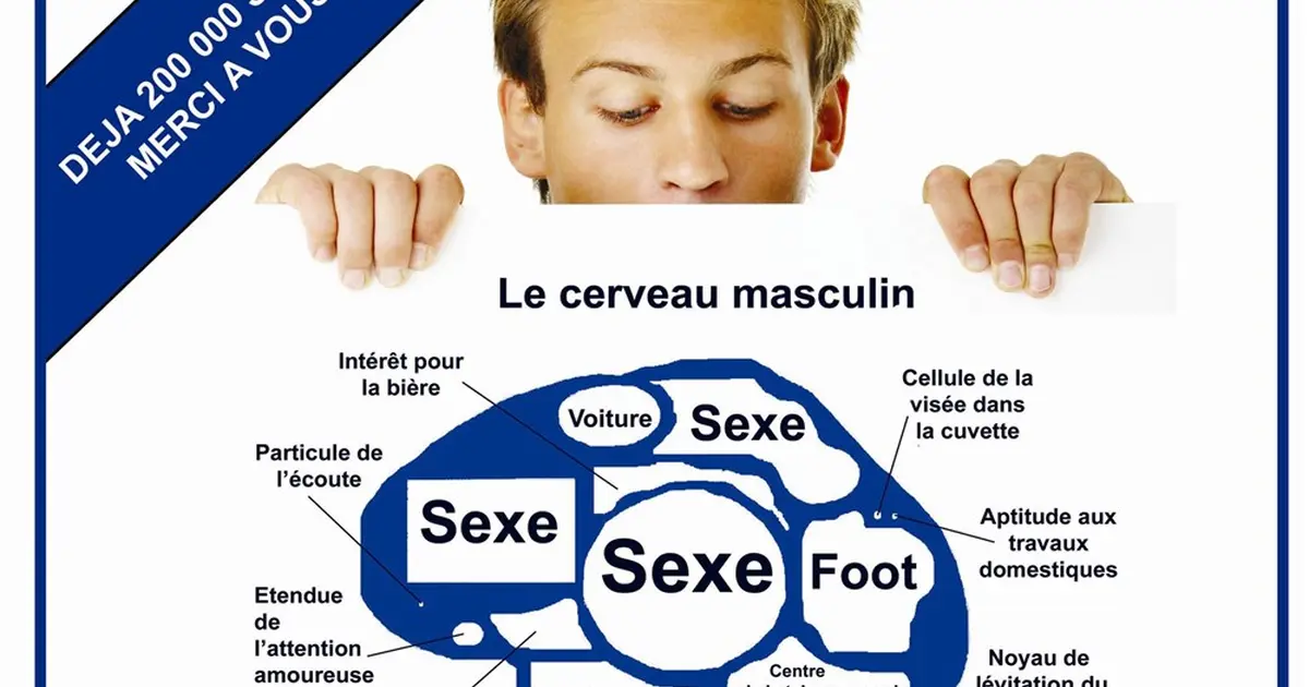 Homme femme mode d'emploi : le gars