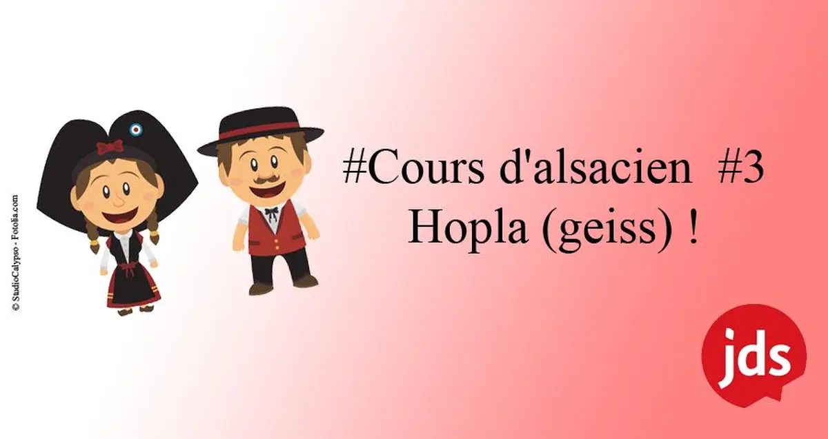 Hopla (geiss)