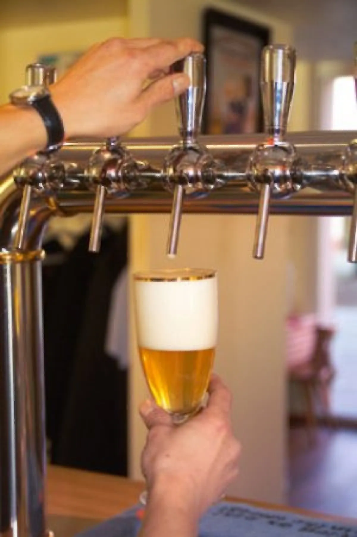 Hôtel et Brasserie artisanale de l'Ermitage