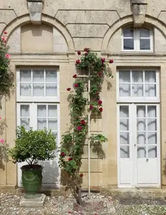 Hôtel Haguenot Montpellier