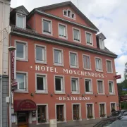 Hôtel Le Moschenross