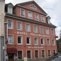 Hotel le Moschenross à Thann DR