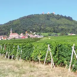 Escapade sur la route des cinq châteaux