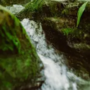 Hydrologie régénérative - La Rapiette à 3 têtes