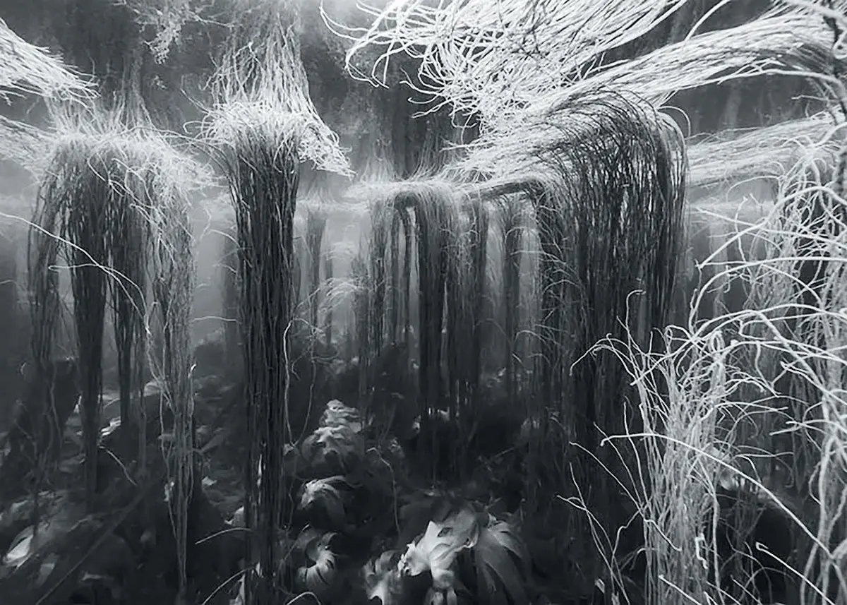 L'eau, comme un paysage à lire