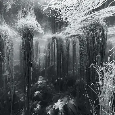 Hydroscape