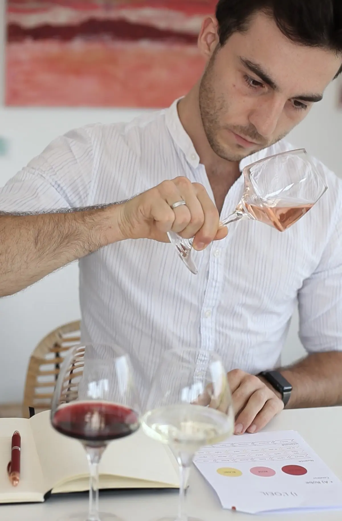 I'm Sommelier, James Sommelier au Domaine Fredavelle