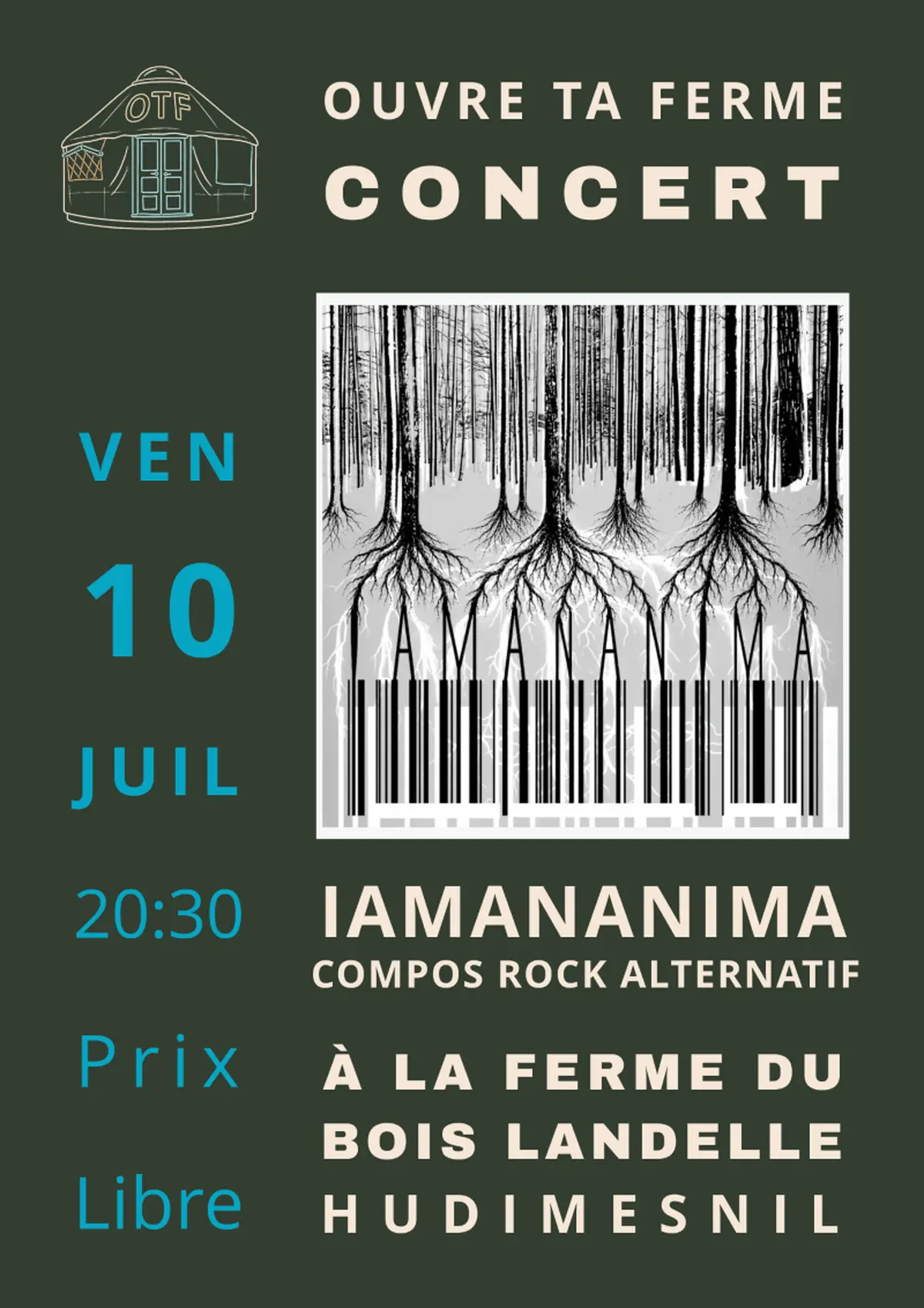 Iamananima en concert