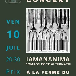 Iamananima en concert