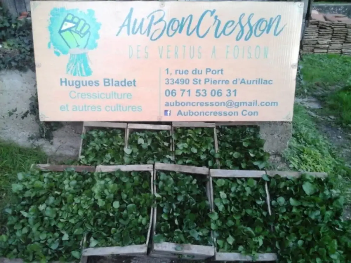 Ici, nos savoir-faire - Visite de l'exploitation Au bon Cresson
