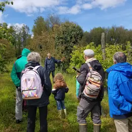 Ici, nos savoir-faire - Visite du verger bio de Quinsac