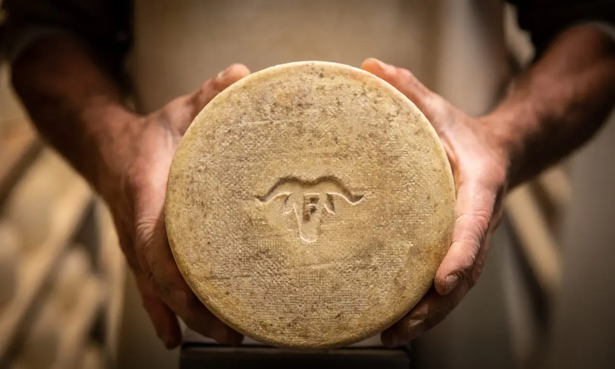Ici, nos savoir-faire - Visite Ferme Agerria