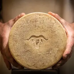 Ici, nos savoir-faire - Visite Ferme Agerria