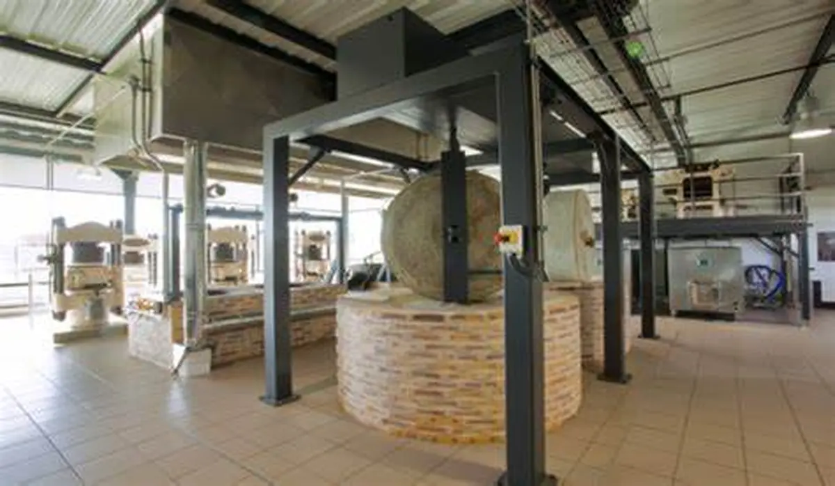 Ici, nos savoir-faire - Visite Huilerie de Neuville
