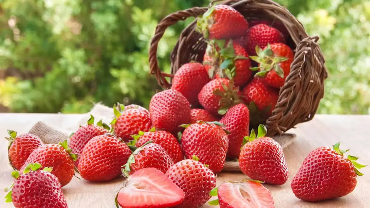 Rendez-vous à la fête des Fraises à Woippy ce week-end !