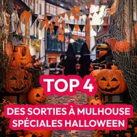 Idées sorties week-end Mulhouse : Top 4 des événements à ne pas manquer (1-3 novembre 2024) DR