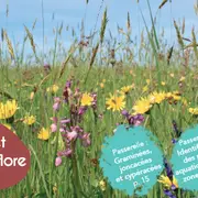 identifier et connaître la flore