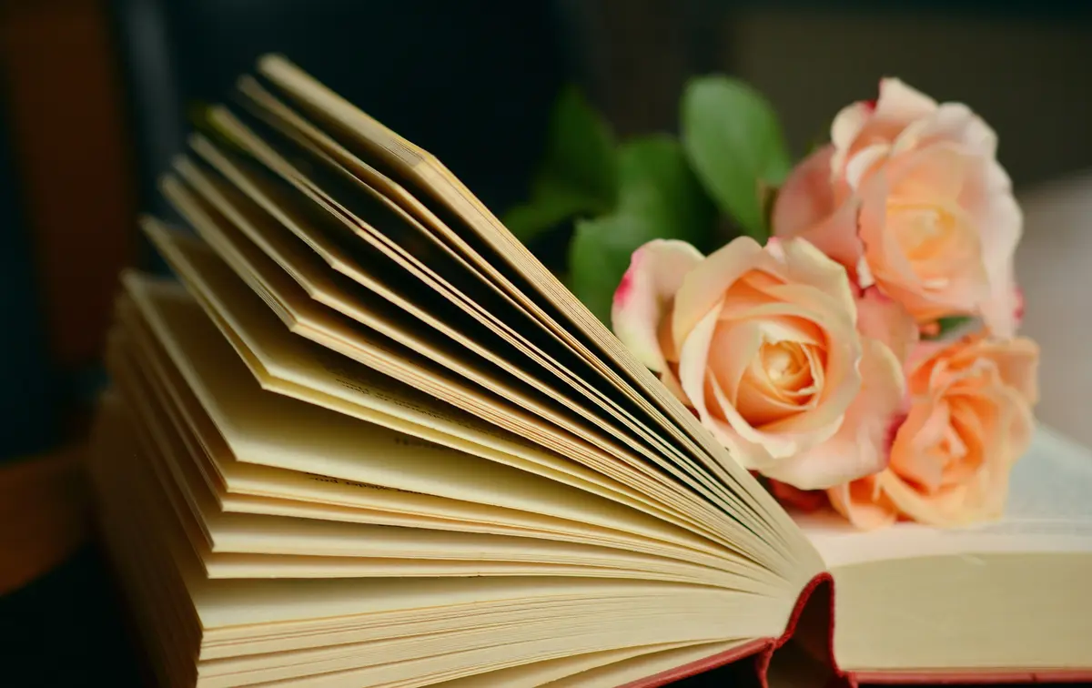 Il était Une Fois... Jane Austen