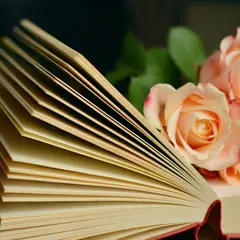 Il était Une Fois... Jane Austen
