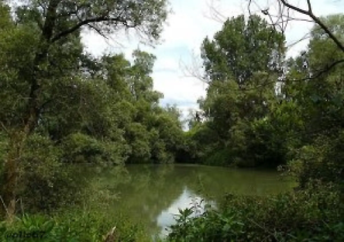 L'Île de Rhinau, dans le Bas-Rhin