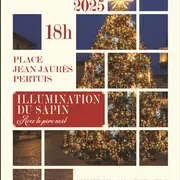 Illumination du Sapin