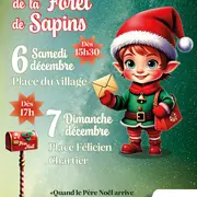 Illuminations de la forêt de sapins à Auriol