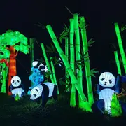 Illuminations « Voyage au pays des lanternes »