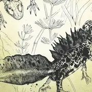 Illustrations scientifiques animatlières et botaniques