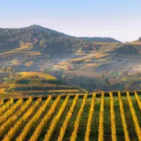 Image d’automne dans le Kaiserstuhl &copy; Lichtklicker, Andre Heid