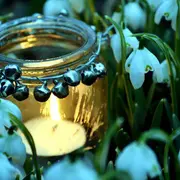 Imbolc, Journée Chamanique