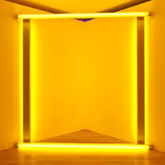 Exposition Dan Flavin à la Galerie Gagosian du Bourget
