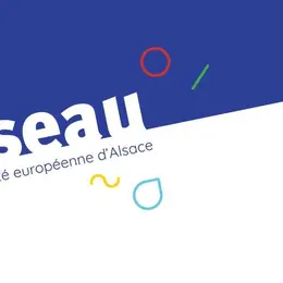 On fait quoi ce week-end à Strasbourg ? 4 idées du 30 octobre au 1er novembre 2026, Toussaint incluse !