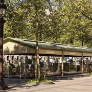 Bacha Coffee ouvre sa terrasse sur les Champs-Élysées en avril avec 27 places, un café d'exception et un croissant au homard et caviar réservé au plein air