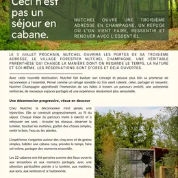 Un village forestier avec 22 cabanes ouvre près de Troyes en juillet 2026 et les réservations sont déjà lancées