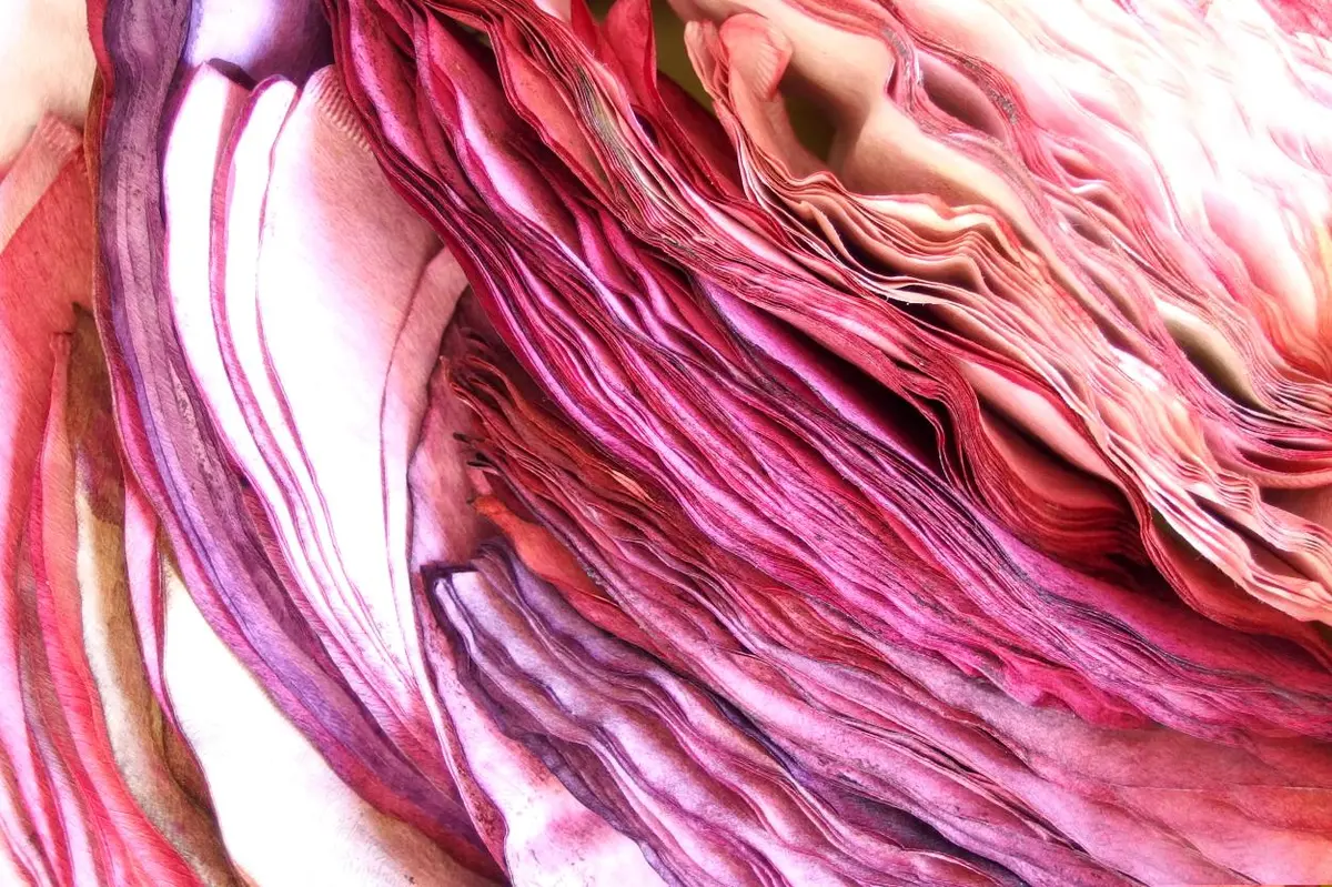 Galeries nomades : une exposition hors les murs au cœur de Montbéliard