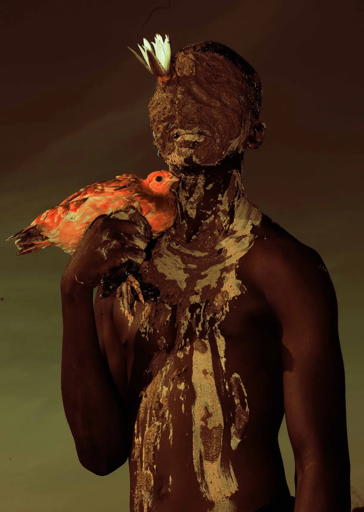 Exposition photo à Arles : Crocodiles, spiritualité et rites sacrés au Festival OFF