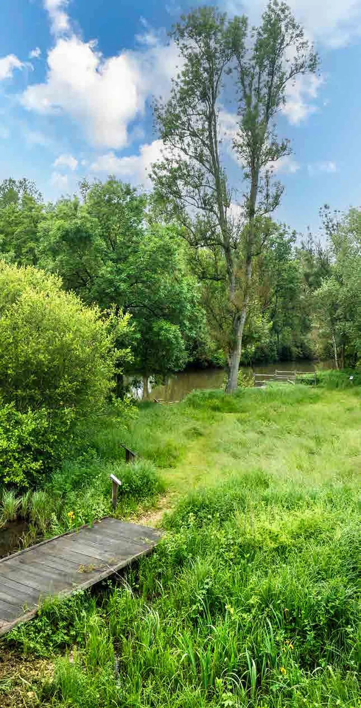 Balade en forêt sur les traces d'animaux à Saint-Benoît-la-Forêt