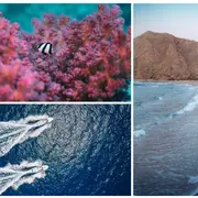AMAALA, la nouvelle destination de luxe sur la mer Rouge en Arabie saoudite, ouvre ses portes à l'été 2026 avec six hôtels de renom dont Six Senses, Four Seasons et Rosewood