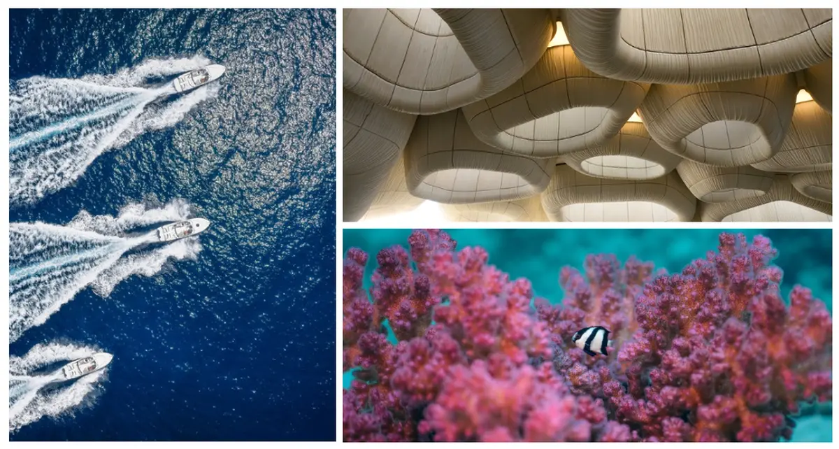 En Arabie Saoudite, ce centre marin unique au monde plonge ses visiteurs au coeur des récifs de la mer Rouge pour les protéger