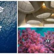 En Arabie Saoudite, ce centre marin unique au monde plonge ses visiteurs au coeur des récifs de la mer Rouge pour les protéger
