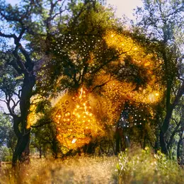 ICHNÔS, une exposition photo au Festival OFF d'Arles