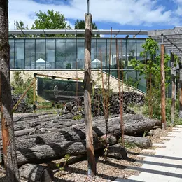 La Cité des Présents de Château-Chinon attire près de 5 000 visiteurs en un mois et rayonne déjà jusqu'en Corée du Sud