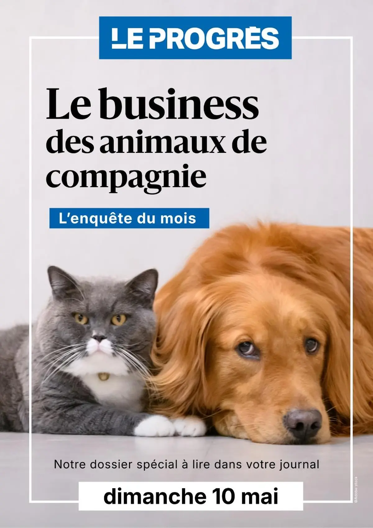 Nos si chers animaux de compagnie : Le Progrès révèle combien coûtent vraiment chiens et chats en 2026, des soins vétérinaires au deuil animalier